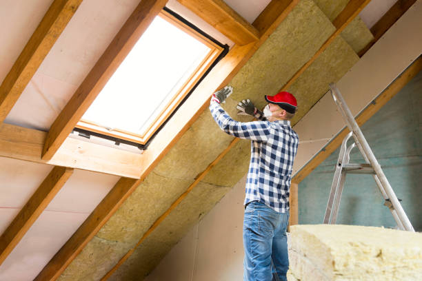 Best Eco-Friendly Insulation Solutions  in USA